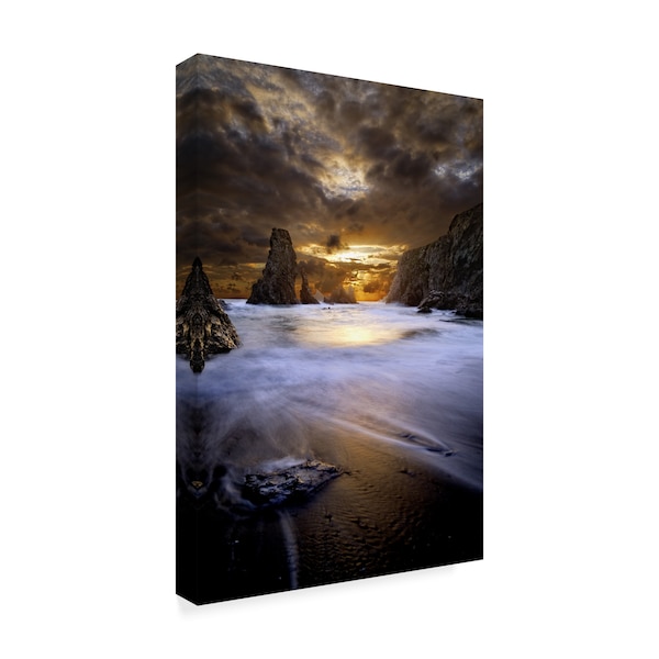 David Keochkerian 'Brown Coton' Canvas Art,16x24